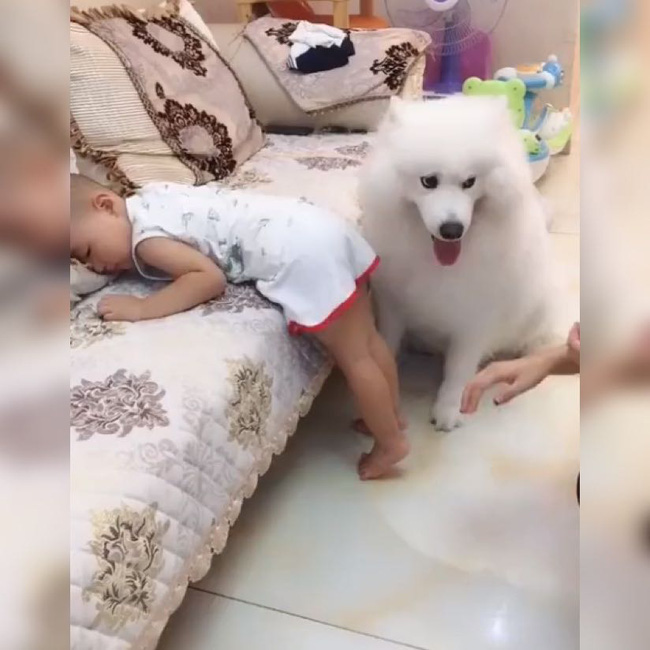 Ơ, bà chủ ơi, bà định làm gì thế?