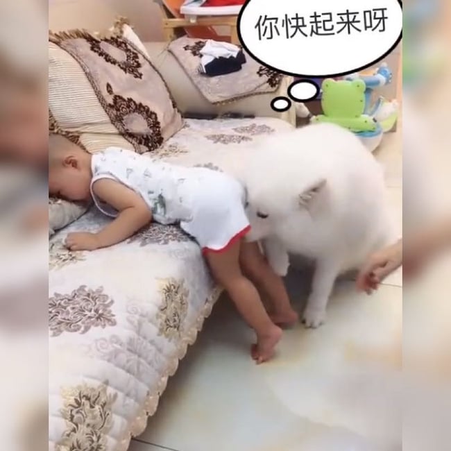 Cậu chủ ơi, bị mẹ đánh có đau lắm không?