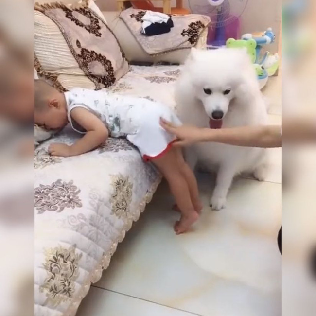 Đừng đánh cậu chủ của con mà!