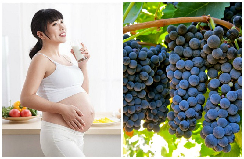 Mẹ bầu ăn nho tốt cho sức khỏe của mẹ và con