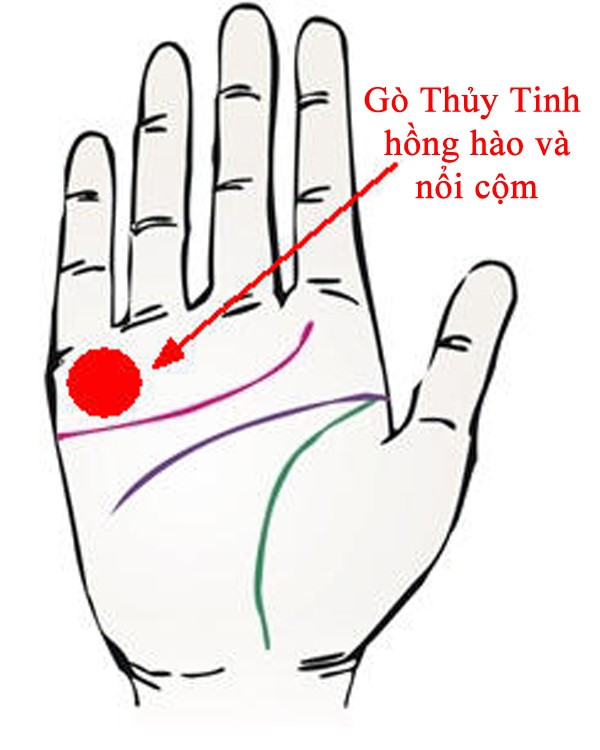 cc-1522898135737576027895