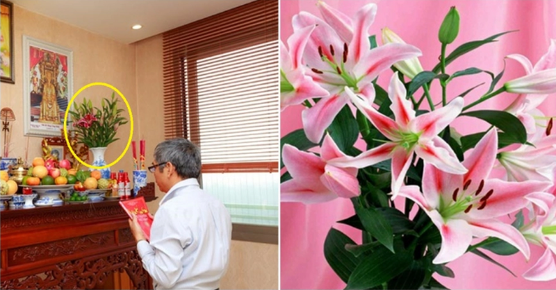 Hoa ly không  nên cắm trên bàn thờ