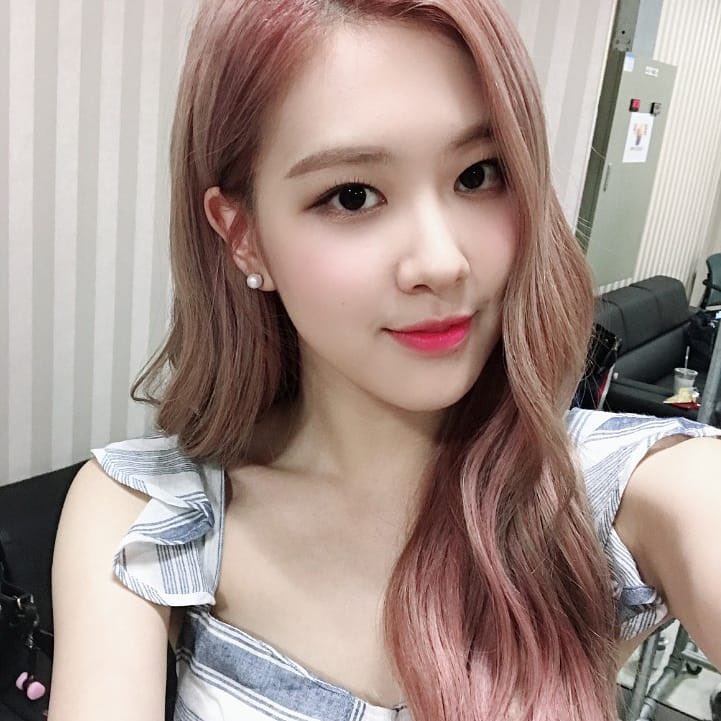 rose93