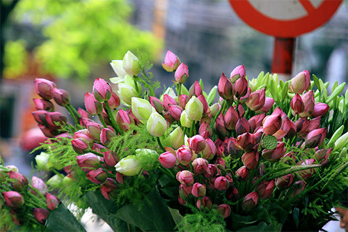 Cách chọn hoa tươi lâu