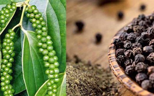 dung hat tieu lam sach quan ao-phunutoday