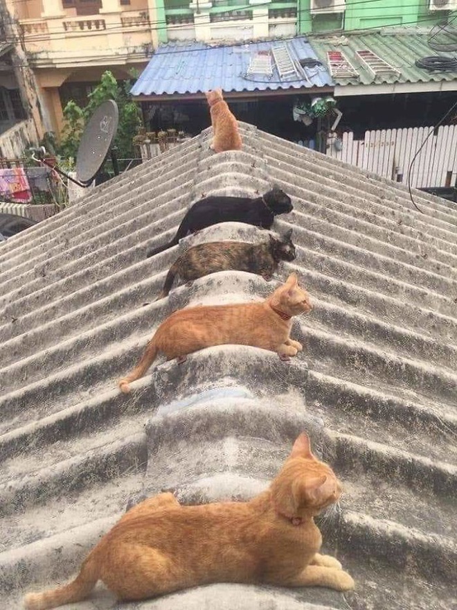 Tắm nắng cũng cần đảm bảo khoảng cách an toàn.