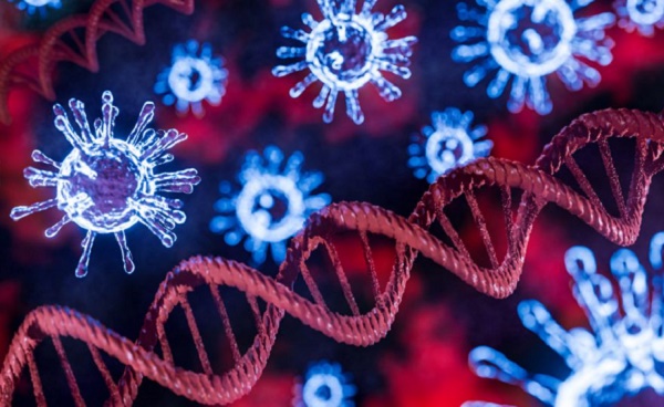 Biến chứng nguy hiểm của người bị nhiễm virus SARS-CoV-2 là hiện tượng phát triển hội chứng DIC. Ảnh minh họa.