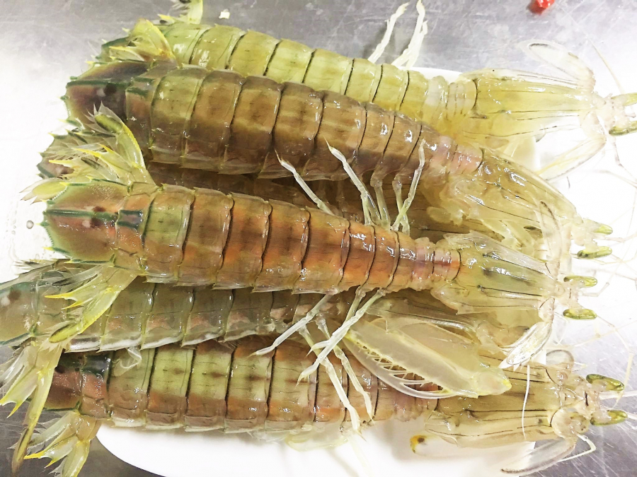 Cách chọn bề bề tươi ngon