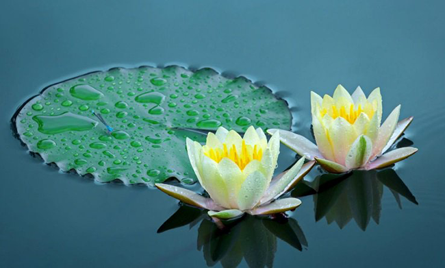 nguoi-phuc-hau-1