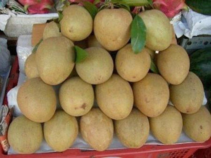 Bí quyết chọn hồng xiêm ngon không hóa chất