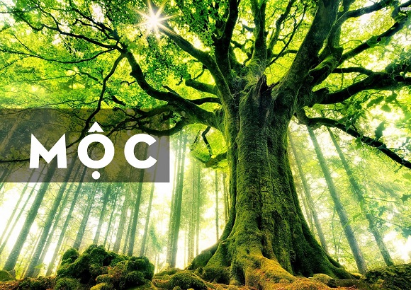 menh-moc-hop-mau-gi071120191007300943