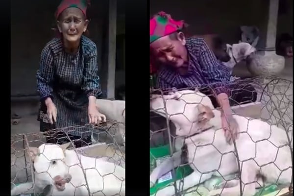 Cụ bà khóc hết nước mắt khi phải bán đi chú chó đã nuôi ẵm từ bé.