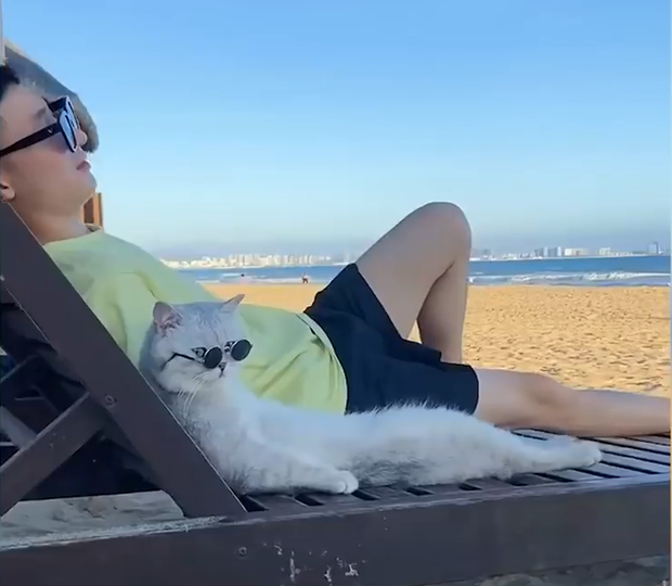 Chú mèo Duo Duo là bạn đồng hành của Xiao Jie trong các chuyện du lịch.