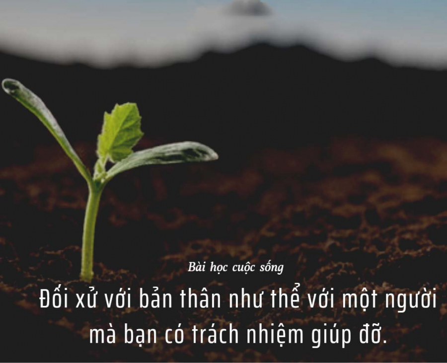 hanhphuc 2