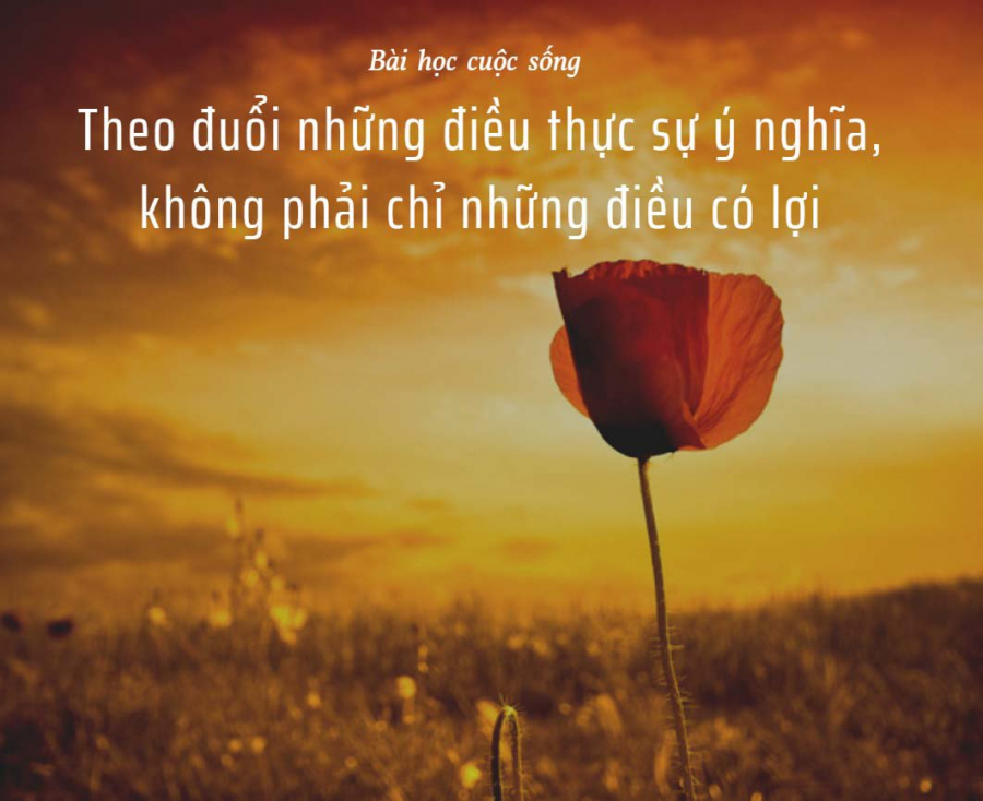 hanhphuc 3