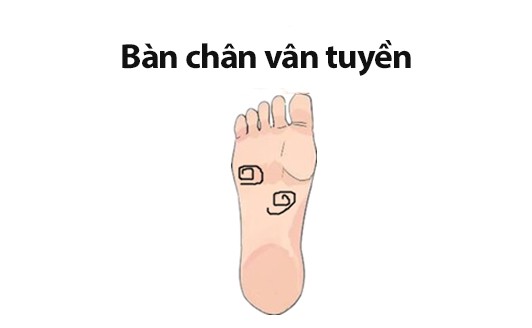 Tướng bàn chân giàu có phú quý