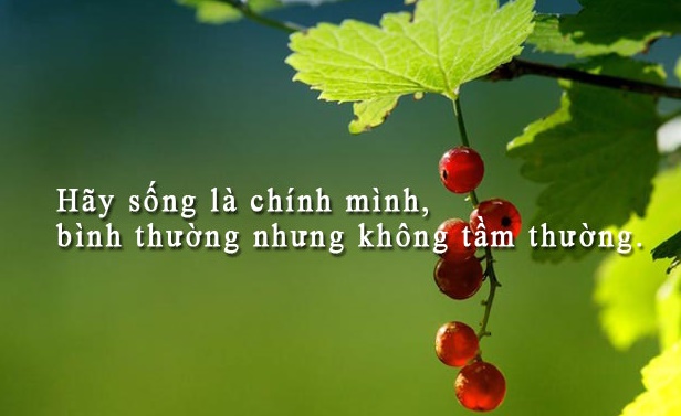 danh-ngon-cuoc-song-228-1