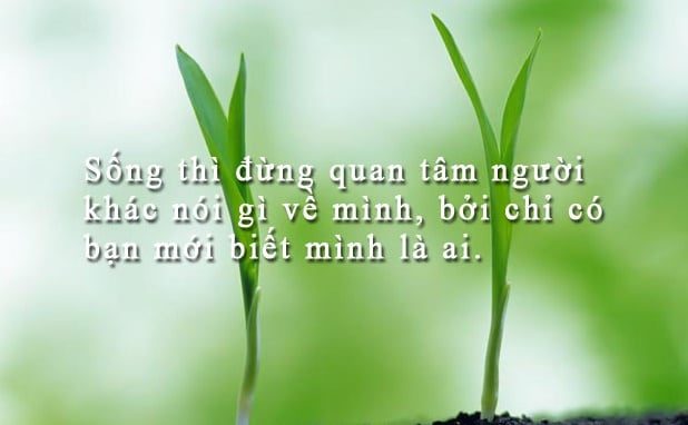 danh-ngon-cuoc-song-235