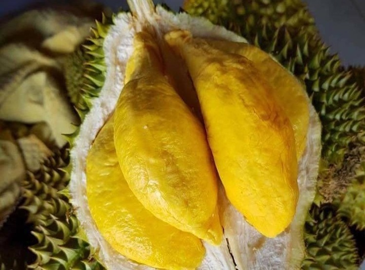 saurieng-1576483718-6956-1576484098