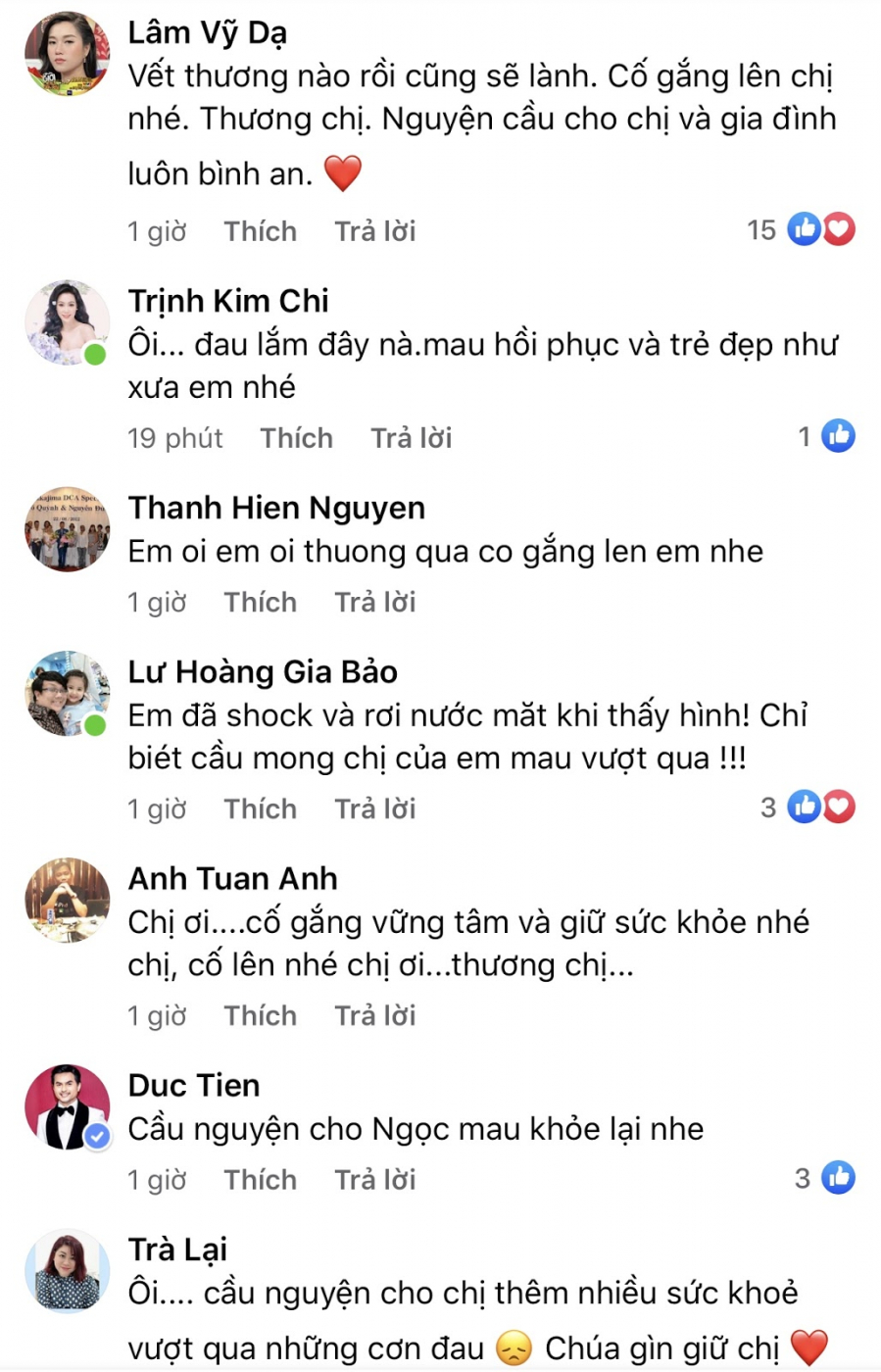ca-si-hong-ngoc-chia-se-can-canh-guong-mat-bi-bong-nghiem-trong-khien-nhieu-nghe-si-xot-xa-ceb-4955497