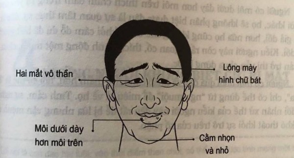 Tướng đàn ông tướng đàn bà lười biếng