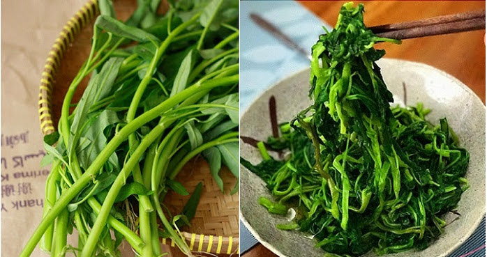 Rau muống có tác dụng thanh nhiệt, là Shbet0099 cá cược trực tuyến quen thuộc với các Shbet111 slot, casino, thể thao, xổ số Việt trong mùa hè.