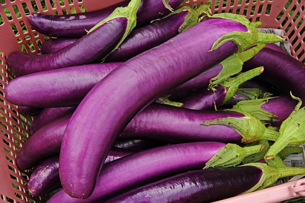 Chuyên gia chia sẻ về cách ăn cà tím