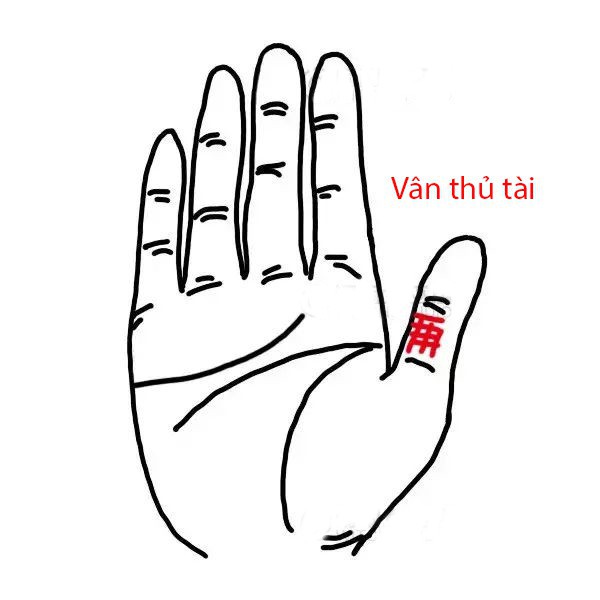 Tướng vân tay giàu có