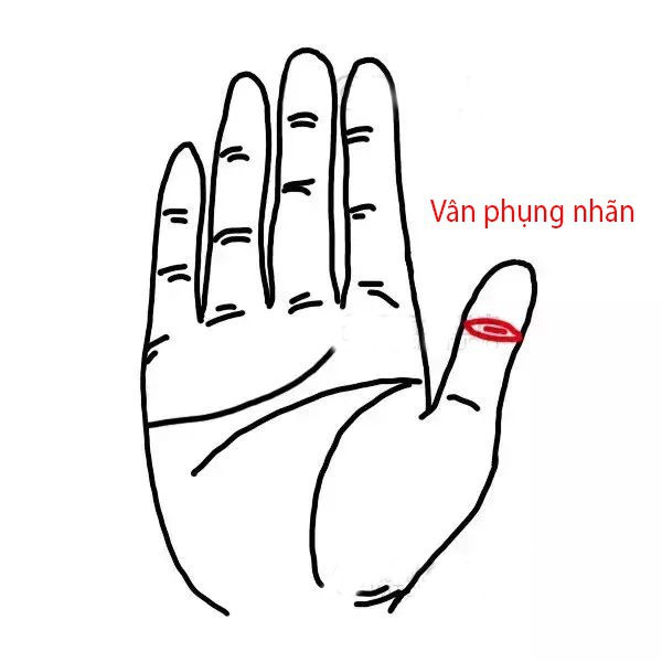 Tướng vân tay hút vàng bạc