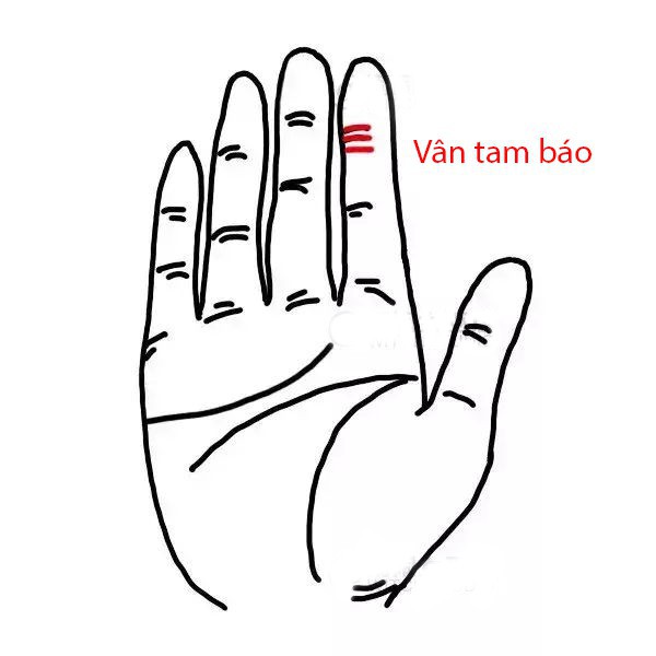 Vân tay hút lộc