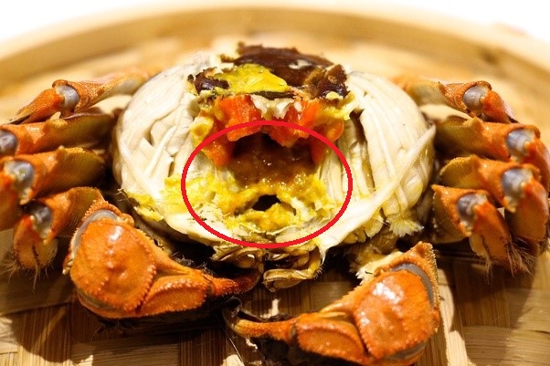 Phần màu vàng bên trong cua biển thực chất là bộ phận sinh dục của loài vật này.