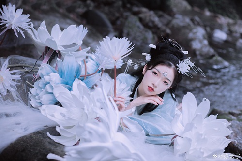 11577037150width500height333_MPMF