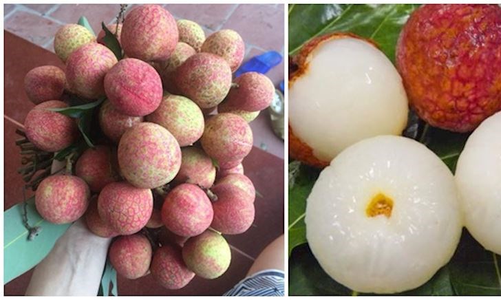 Cách chọn vải tươi ngon hấp dẫn