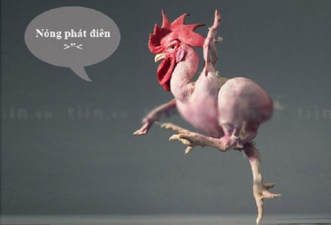 Nguồn ảnh Internet