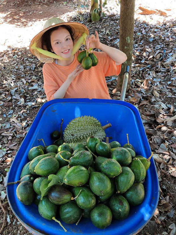 ly-nha-ky-khoe-khu-vuon-day-sau-rieng-bo-vua-duoc-thu-hoach-4cdd1c87-1585975152323471924240