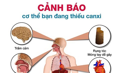 Những biểu hiện Sh88bet đăng ký miễn phí bạn đang thiếu canxi