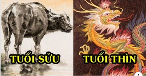 Tử vi ngày 23/6/2020 dự báo tuổi Sửu có một ngày cực kì may mắn