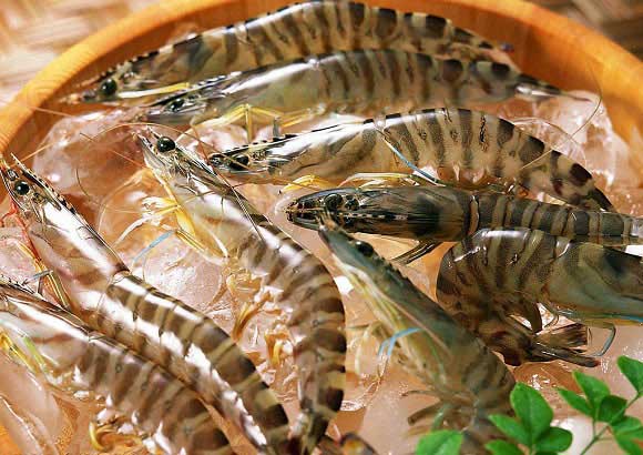 Cách khử mùi hải sản trước khi chế biến