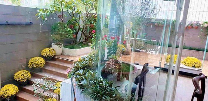 Tất cả đều toát lên một ngôi nhà tràn ngập màu xanh