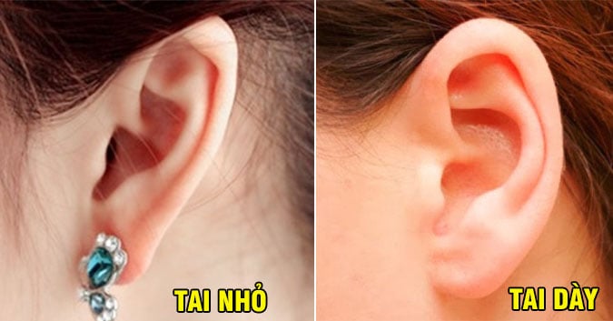 Tướng tai giàu có phú quý sống thọ