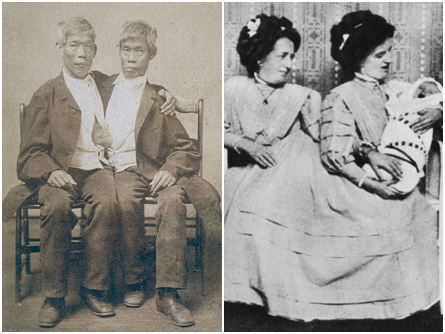 Năm 33 tuổi, hai anh em Chang và Eng cưới hai chị em Adelaide Yates và Sarah Anne