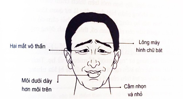 Tướng đàn ông hãm tài vô dụng