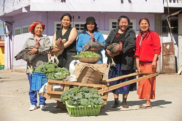 Vợ cả của ông chịu trách nhiệm quản lý và phân công công việc trong nhà.
