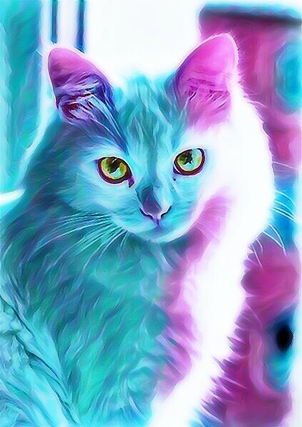 tu-vi-cuoi-tuan-1-2-8-2020-04