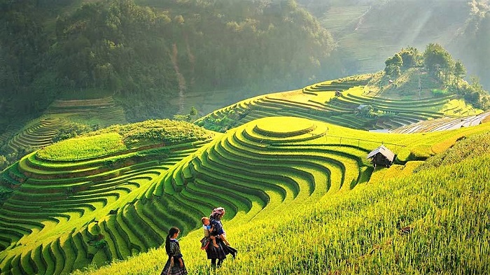 Bản Tả Van ảnh internet
