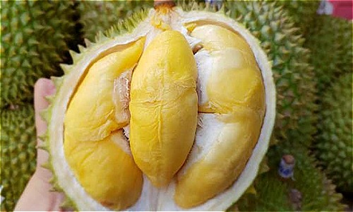 Không chọn quả có nhiều gai thờ cúng