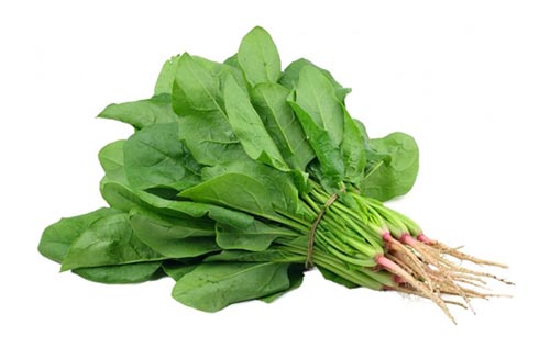 Cải bó xôi tốt cho mẹ bầu