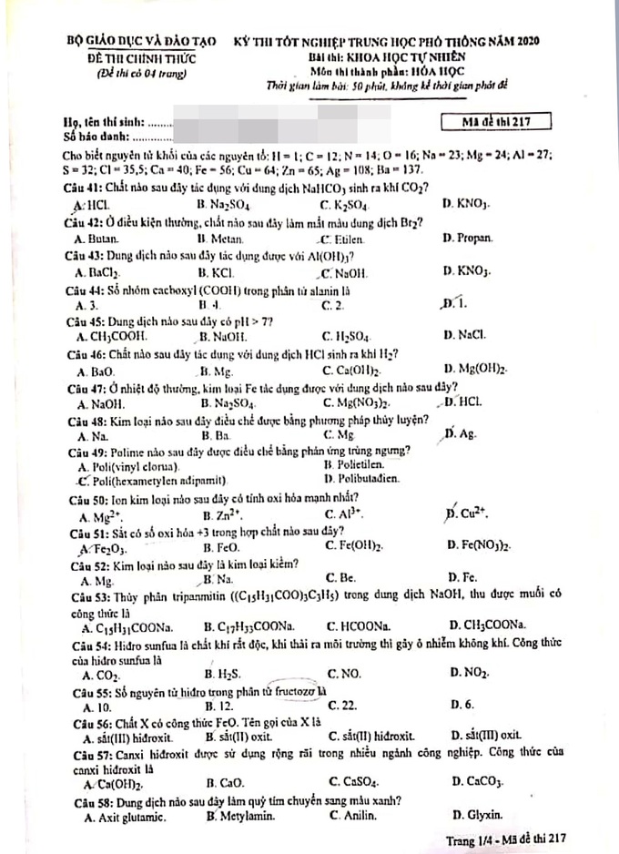 217_hoa