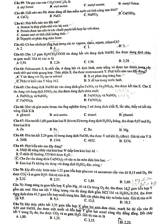 217_hoa_1