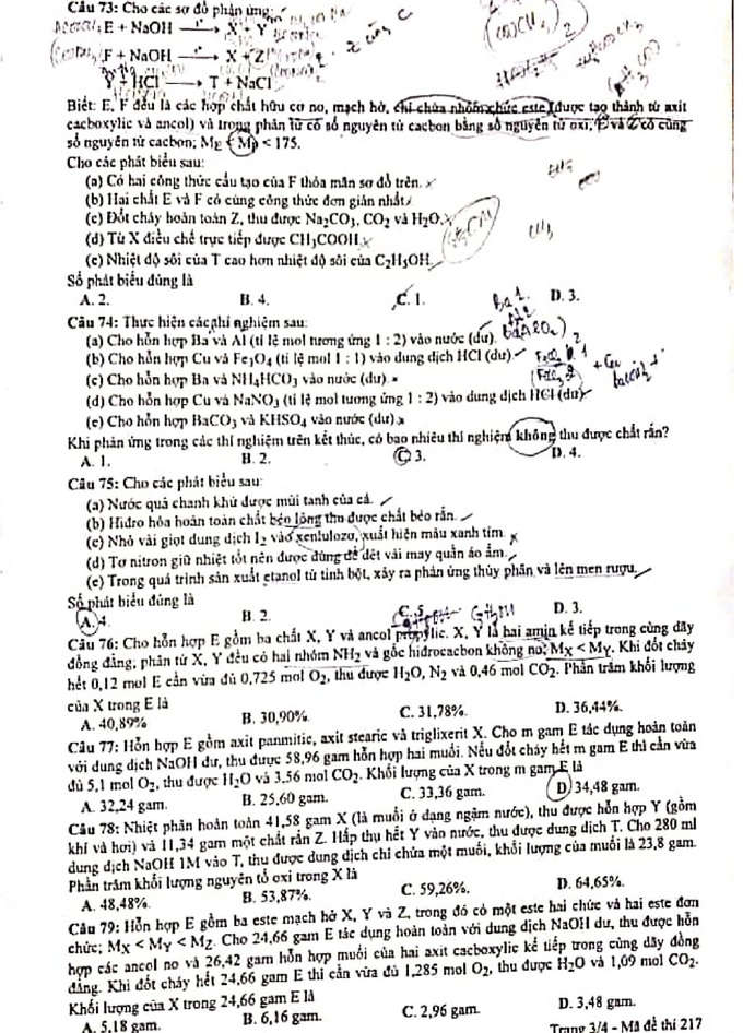 217_hoa_2